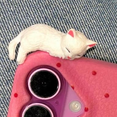Dreamy Sleeping Kitty Phone Topper With Glue